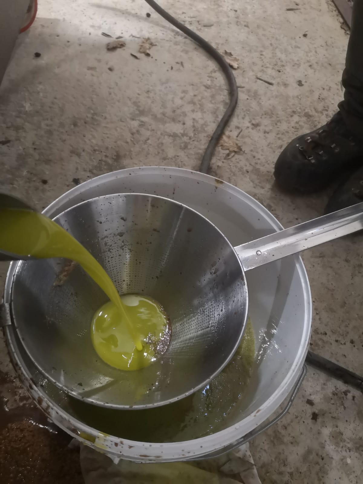 L&rsquo;huile d&rsquo;olives